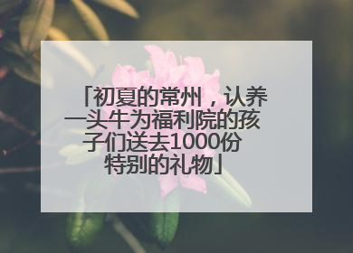 初夏的常州,认养一头牛为福利院的孩子们送去1000份特别的礼物
