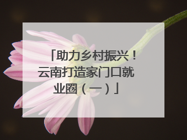 助力乡村振兴！云南打造家门口就业圈（一）