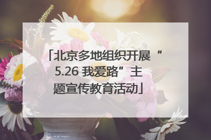 北京多地组织开展“5.26 我爱路”主题宣传教育活动