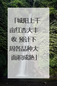 城阳上千亩红杏大丰收 预计下周各品种大面积成熟