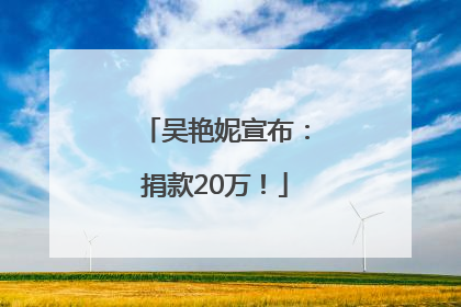 吴艳妮宣布：捐款20万！
