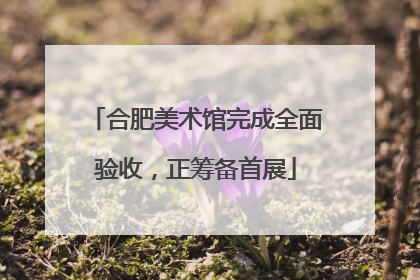 合肥美术馆完成全面验收，正筹备首展