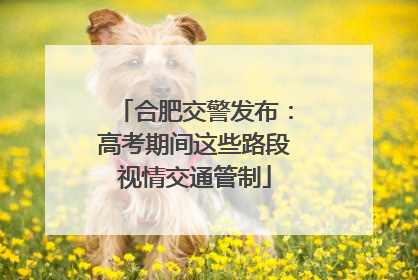 合肥交警发布：高考期间这些路段视情交通管制