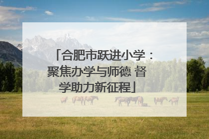 合肥市跃进小学：聚焦办学与师德 督学助力新征程