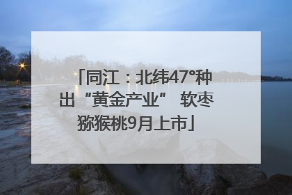 同江：北纬47°种出“黄金产业” 软枣猕猴桃9月上市