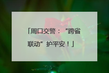 周口交警：“跨省联动”护平安！