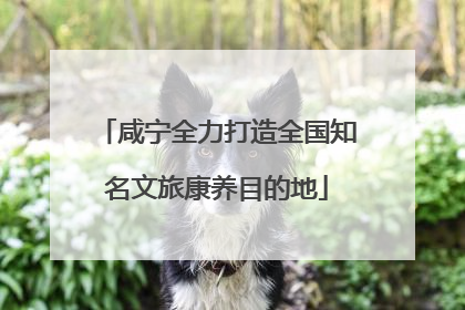 咸宁全力打造全国知名文旅康养目的地