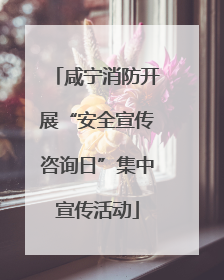咸宁消防开展“安全宣传咨询日”集中宣传活动