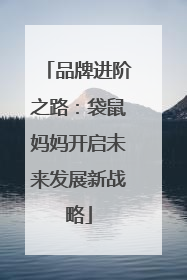 品牌进阶之路：袋鼠妈妈开启未来发展新战略