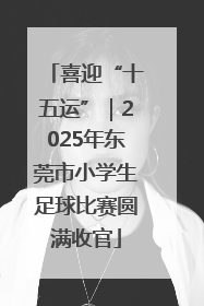 喜迎“十五运”｜2025年东莞市小学生足球比赛圆满收官