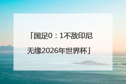 国足0：1不敌印尼 无缘2026年世界杯