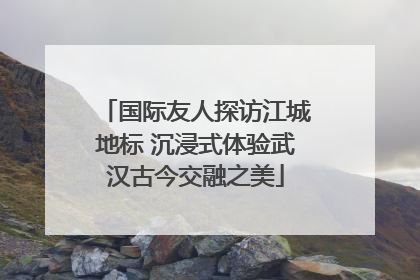 国际友人探访江城地标 沉浸式体验武汉古今交融之美
