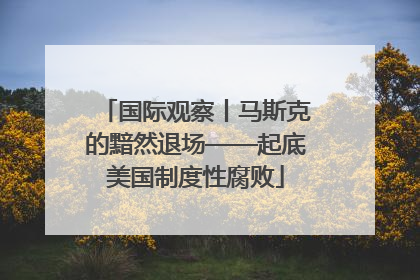 国际观察丨马斯克的黯然退场——起底美国制度性腐败