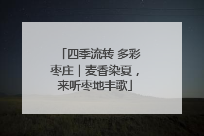 四季流转 多彩枣庄｜麦香染夏，来听枣地丰歌