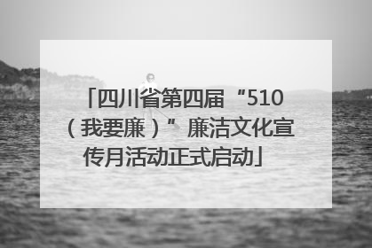 四川省第四届“510(我要廉)”廉洁文化宣传月活动正式启动