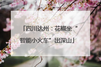 四川达州：花椒坐“智能小火车”出深山