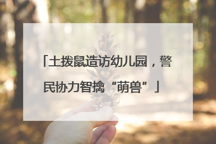 土拨鼠造访幼儿园，警民协力智擒“萌兽”