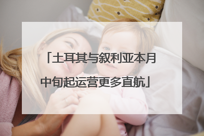 土耳其与叙利亚本月中旬起运营更多直航