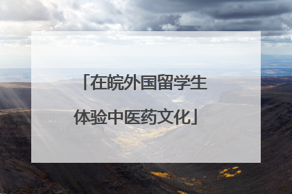 在皖外国留学生体验中医药文化