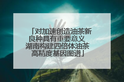 对加速创造油茶新良种具有重要意义 湖南构建四倍体油茶高精度基因图谱