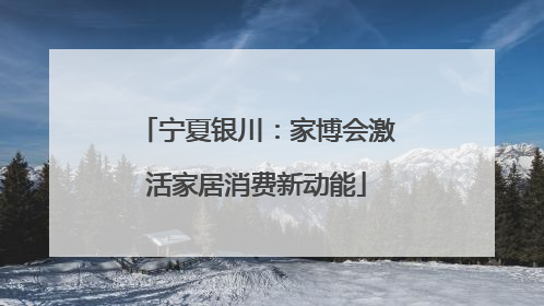 宁夏银川：家博会激活家居消费新动能