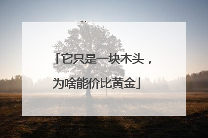 它只是一块木头，为啥能价比黄金