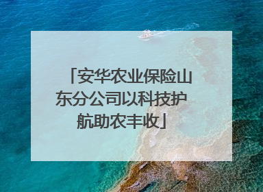 安华农业保险山东分公司以科技护航助农丰收