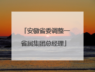 安徽省委调整一省属集团总经理