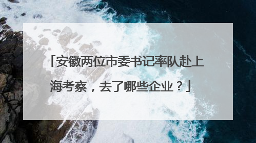 安徽两位市委书记率队赴上海考察，去了哪些企业？