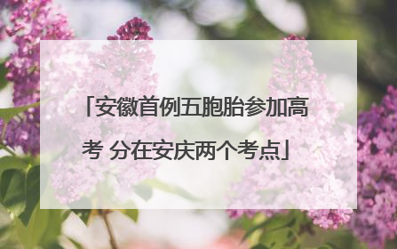 安徽首例五胞胎参加高考 分在安庆两个考点