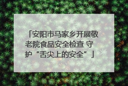安阳市马家乡开展敬老院食品安全检查 守护“舌尖上的安全”