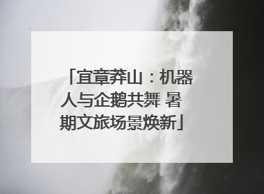宜章莽山：机器人与企鹅共舞 暑期文旅场景焕新