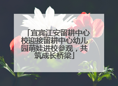 宜宾江安留耕中心校迎接留耕中心幼儿园萌娃进校参观，共筑成长桥梁