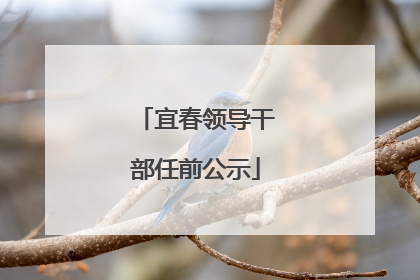 宜春领导干部任前公示