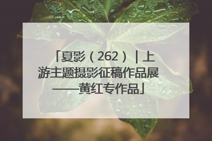 夏影（262）｜上游主题摄影征稿作品展——黄红专作品