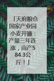 天府粮仓国家产业园小麦开镰：产量三年连涨，亩产584.3公斤！