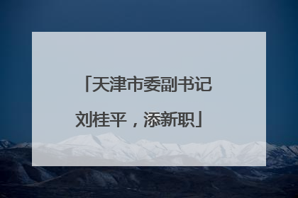 天津市委副书记刘桂平，添新职
