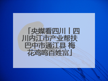 央媒看四川丨四川内江市产业帮扶巴中市通江县 梅花鸡鸣百姓富