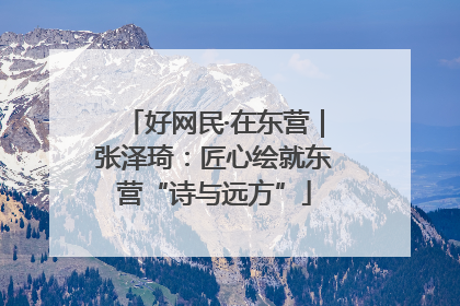 好网民·在东营｜张泽琦：匠心绘就东营“诗与远方”