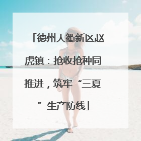 德州天衢新区赵虎镇：抢收抢种同推进，筑牢“三夏”生产防线