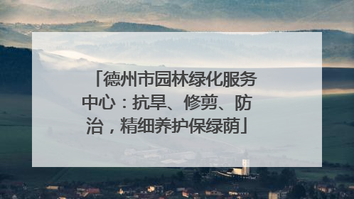 德州市园林绿化服务中心：抗旱、修剪、防治，精细养护保绿荫