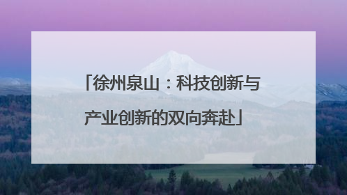 徐州泉山：科技创新与产业创新的双向奔赴