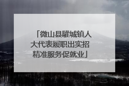 微山县驩城镇人大代表履职出实招精准服务促就业
