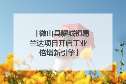 微山县驩城镇易兰达项目开启工业倍增新引擎