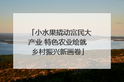 小水果撬动富民大产业 特色农业绘就乡村振兴新画卷