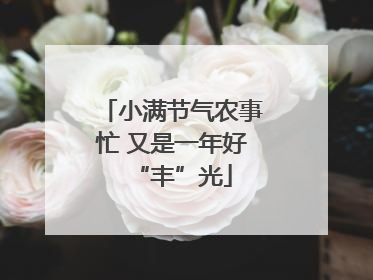 小满节气农事忙 又是一年好“丰”光