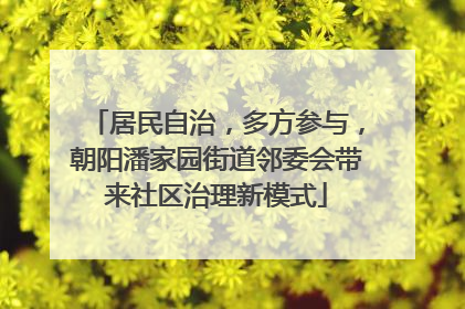居民自治，多方参与，朝阳潘家园街道邻委会带来社区治理新模式