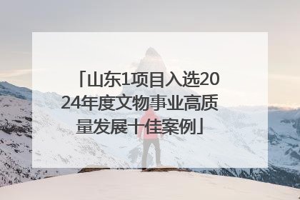 山东1项目入选2024年度文物事业高质量发展十佳案例