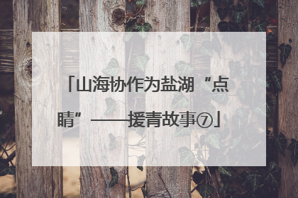 山海协作为盐湖“点睛”——援青故事⑦