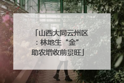 山西大同云州区：林地生“金” 助农增收前景旺